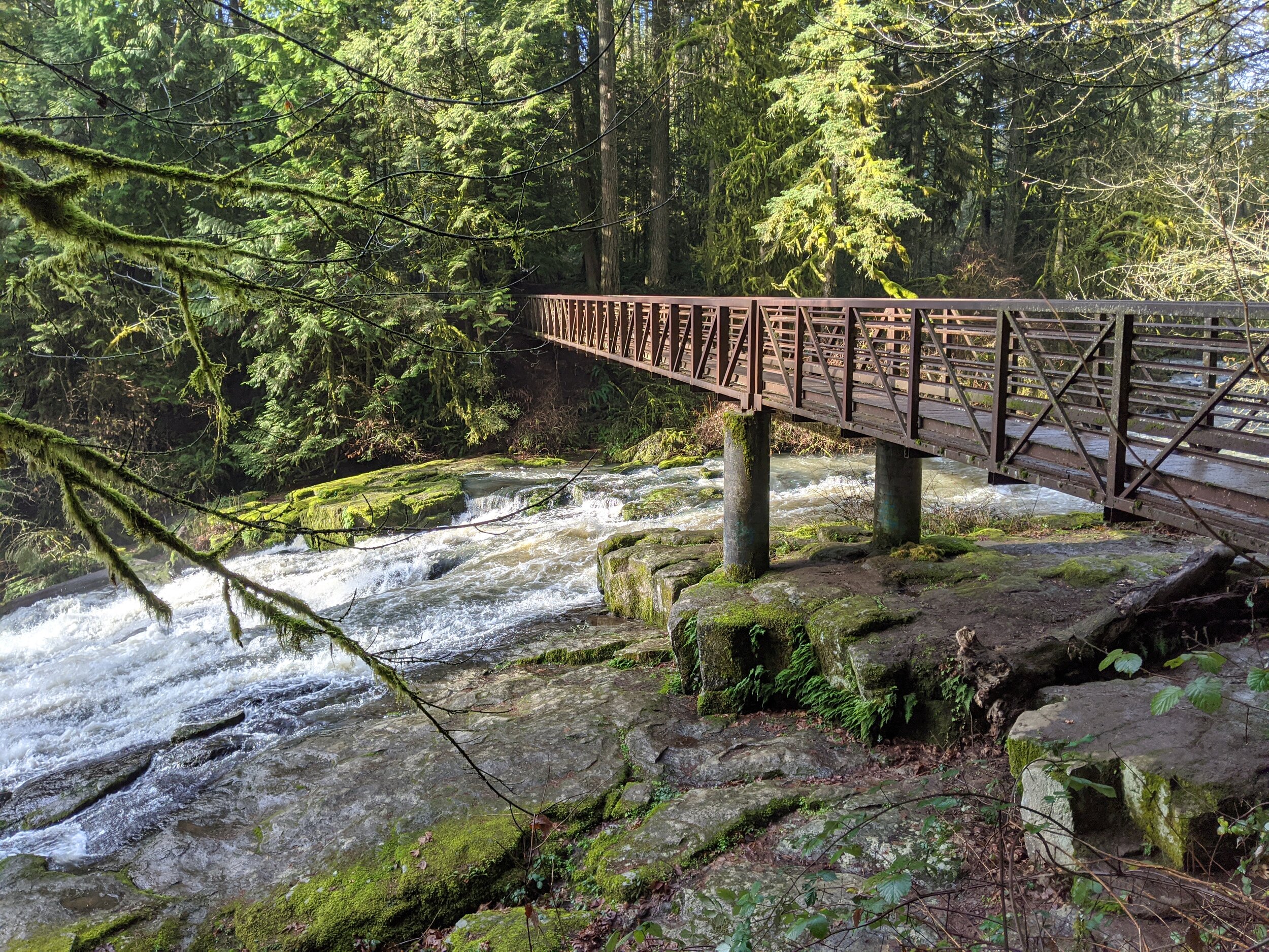 Lacamas Lake Camas WA